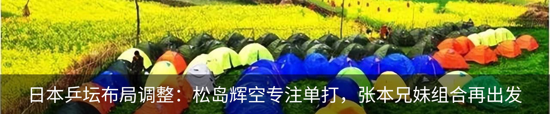 最新动态
